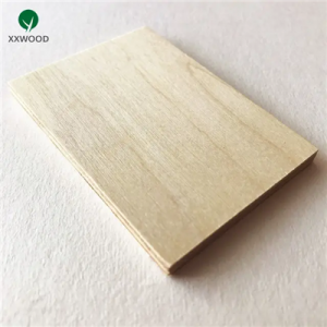 Poplar plywood